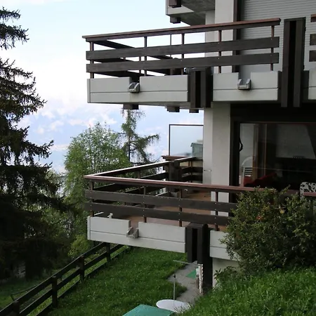Friendly With Mountain Views